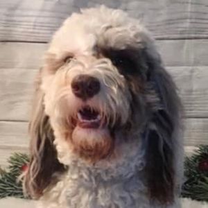 Meet your Posher, Gloria